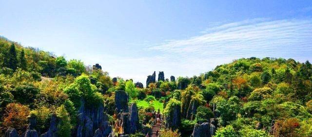 华蓥陌陌怎么分辨是不是鸡