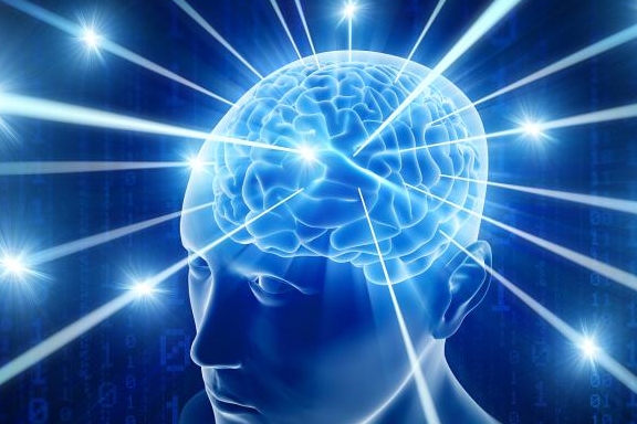 南美沼泽发现史前巨鼠,跟人一样大,无敌存在,却因“...