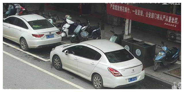 创建进行时丨贵溪对这些不文明交通违法行为曝光