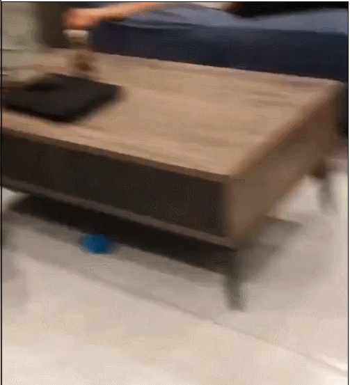 主人沙发上睡觉,突然被二哈扑了个满面,网友:流浪狗套餐安排上