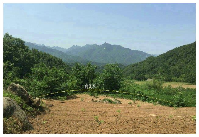 催贵墓地风水看风水大师王君植河南寻龙催官风水有何不一样