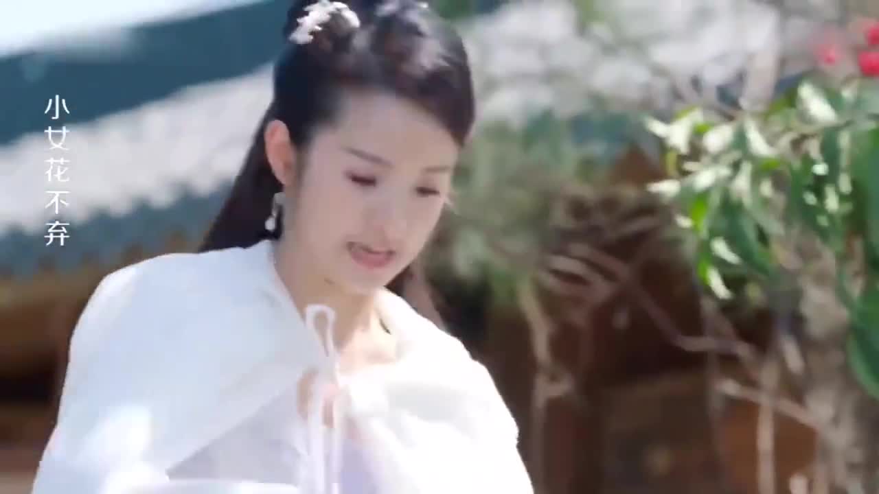 小女花不弃世子不愿不弃进王府故意使坏害她落水