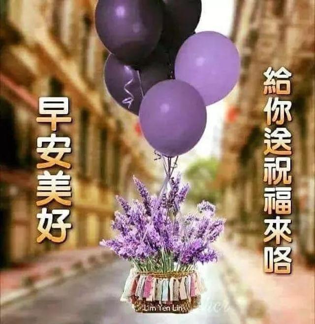 朋友圈很好看的早安祝福问候语,最美早上好图片表情带