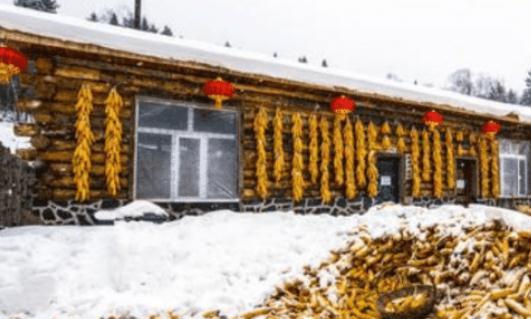 东北农村一个人口粮地多少地_东北农村(3)