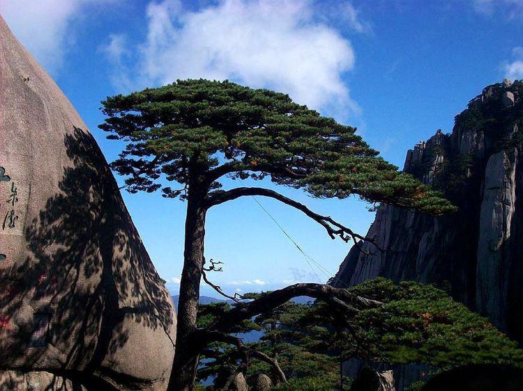 安徽最“不服气”的一个城市,有全省最好的旅游资源,发展很尴尬
