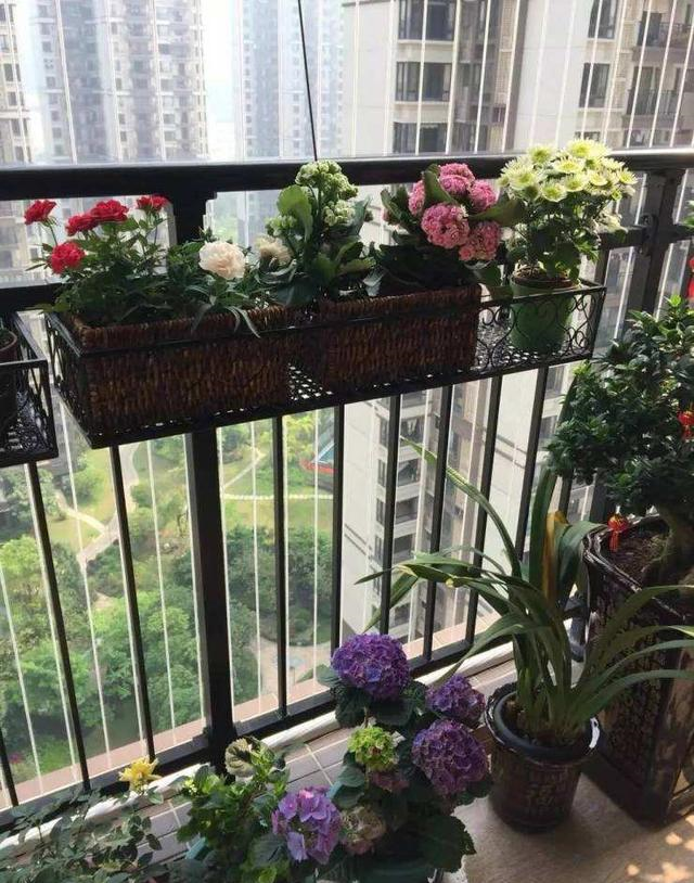 阳台小想养花就学学她,用三个方法,把小阳台打造成私家花园