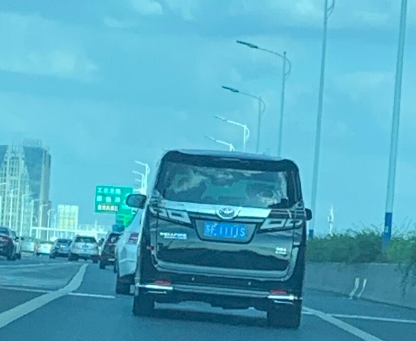 南通通盛高架实拍丰田威尔法，车牌