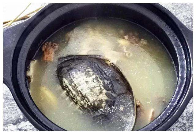 炖甲鱼汤,只需注意这一步,肉香汤鲜,营养足,腥味全无