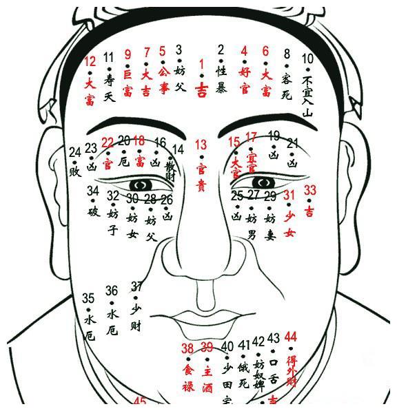 龟尾痣(如下图)