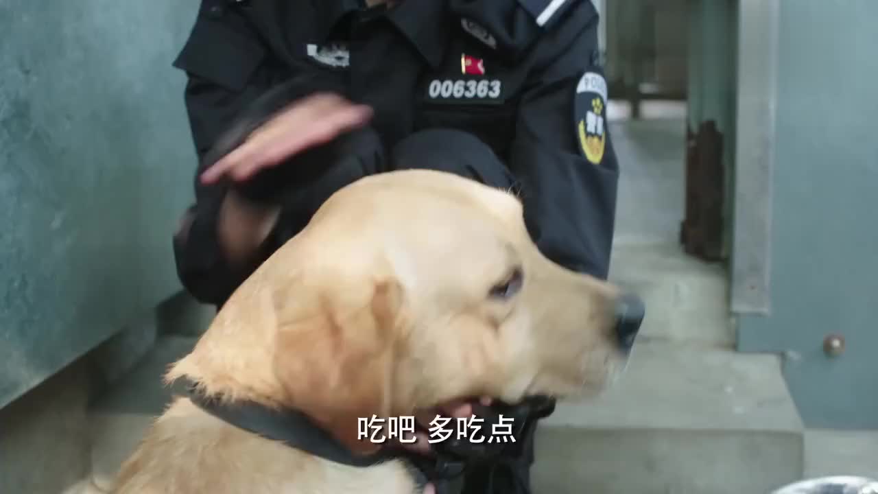 警花与警犬:李姝寒带着樱桃一起旅游,把它当做亲人看待!