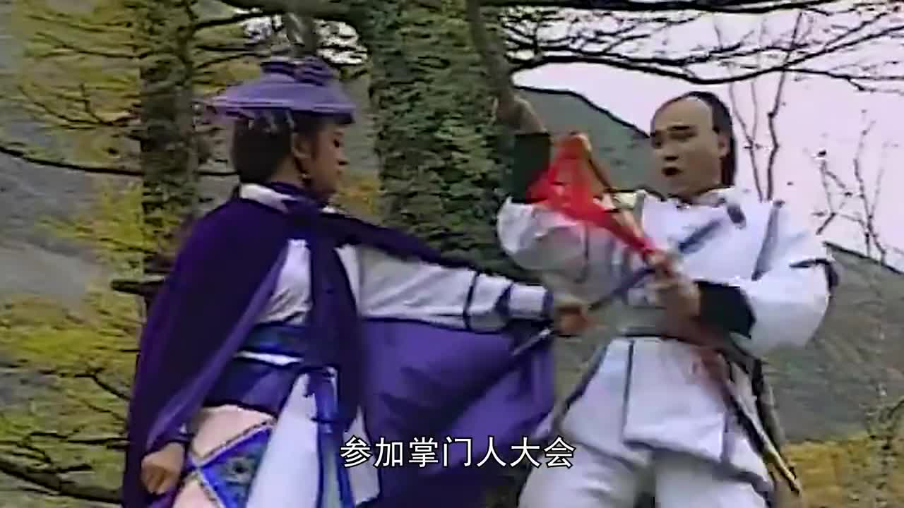 雪山飞狐田归农弄瞎苗人凤的眼睛抓了他的女儿胡斐仗义相救
