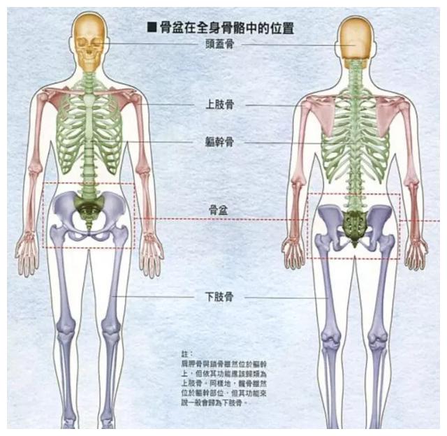 产后腰疼得快断了一样,原来是这个问题