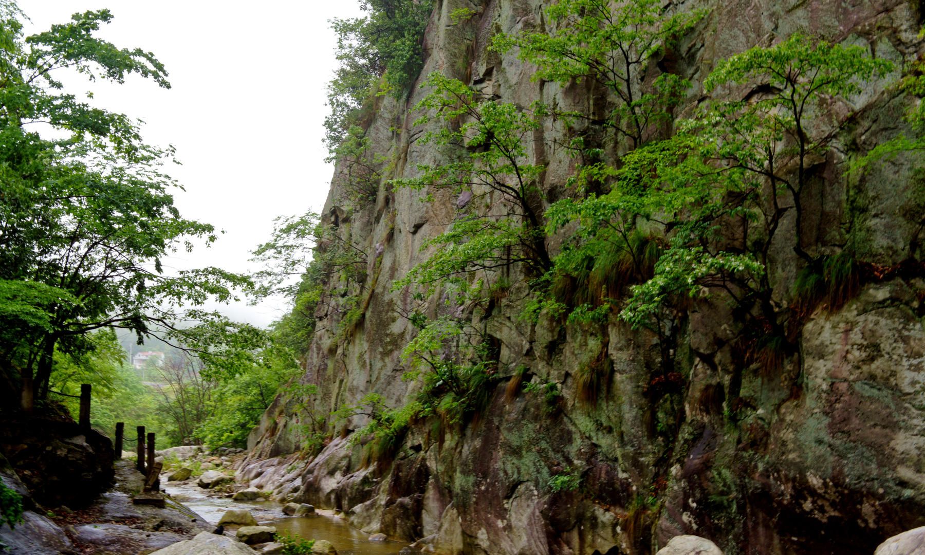 风光摄影:金寨马鬃岭原始峡谷