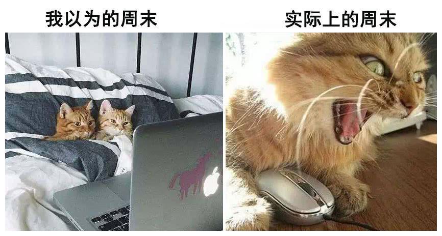 我以为的周末 vs 实际上的周末