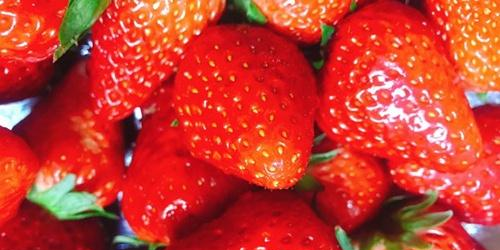 激素草莓和正常草莓怎么区分果农教你一招一眼就能看出来