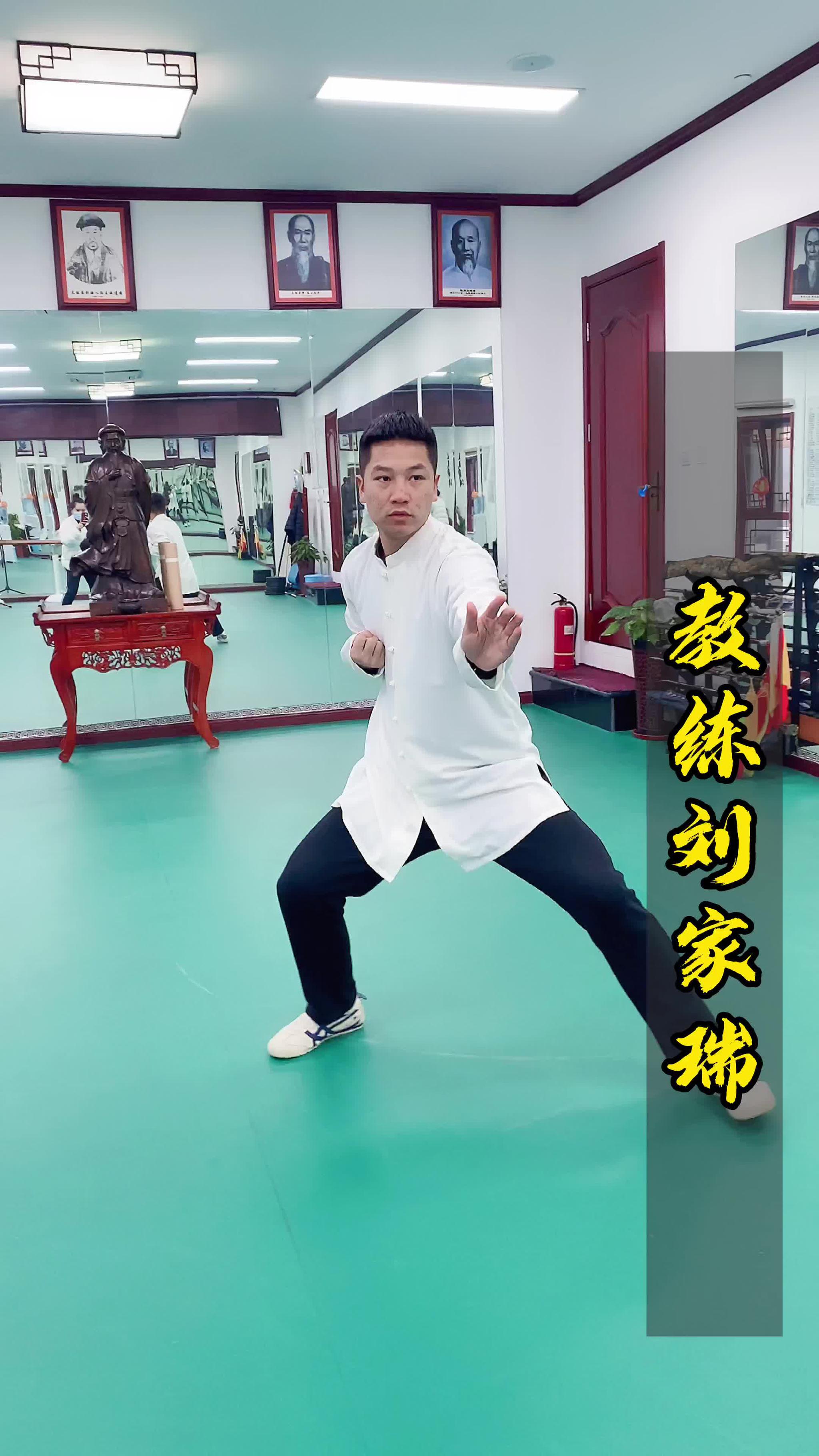 正雷太极书院刘家瑞老师演练陈氏太极拳真是太有气势了厉害