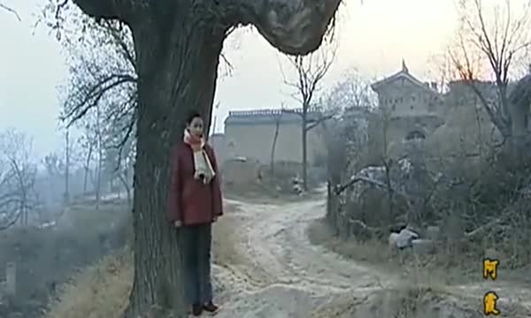 阿霞:阿霞给二串捶腿,二串帮她捏肩,两人好幸福啊