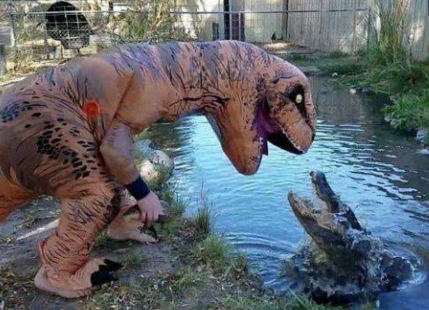 一边用霸王龙的头去吓唬水中的鳄鱼,还要不停的将身后的食物丢给水里
