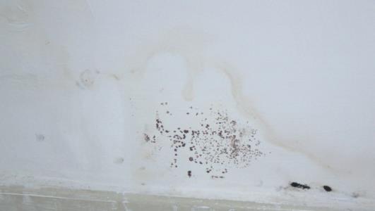 墙面渗水怎么刷 e618-izrvxmh4160822.jpg