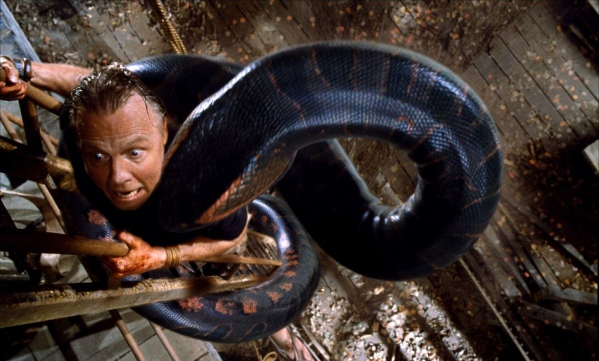 蛇就是这样往往让人看了会起鸡皮疙瘩的生物,1997年《狂蟒之灾》让人