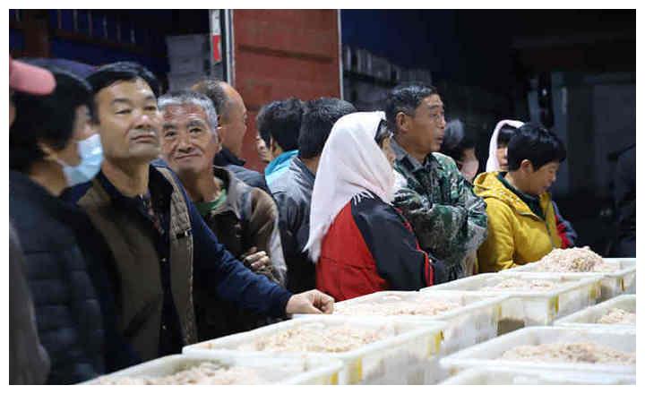 沾化人口多少_沾化冬枣图片