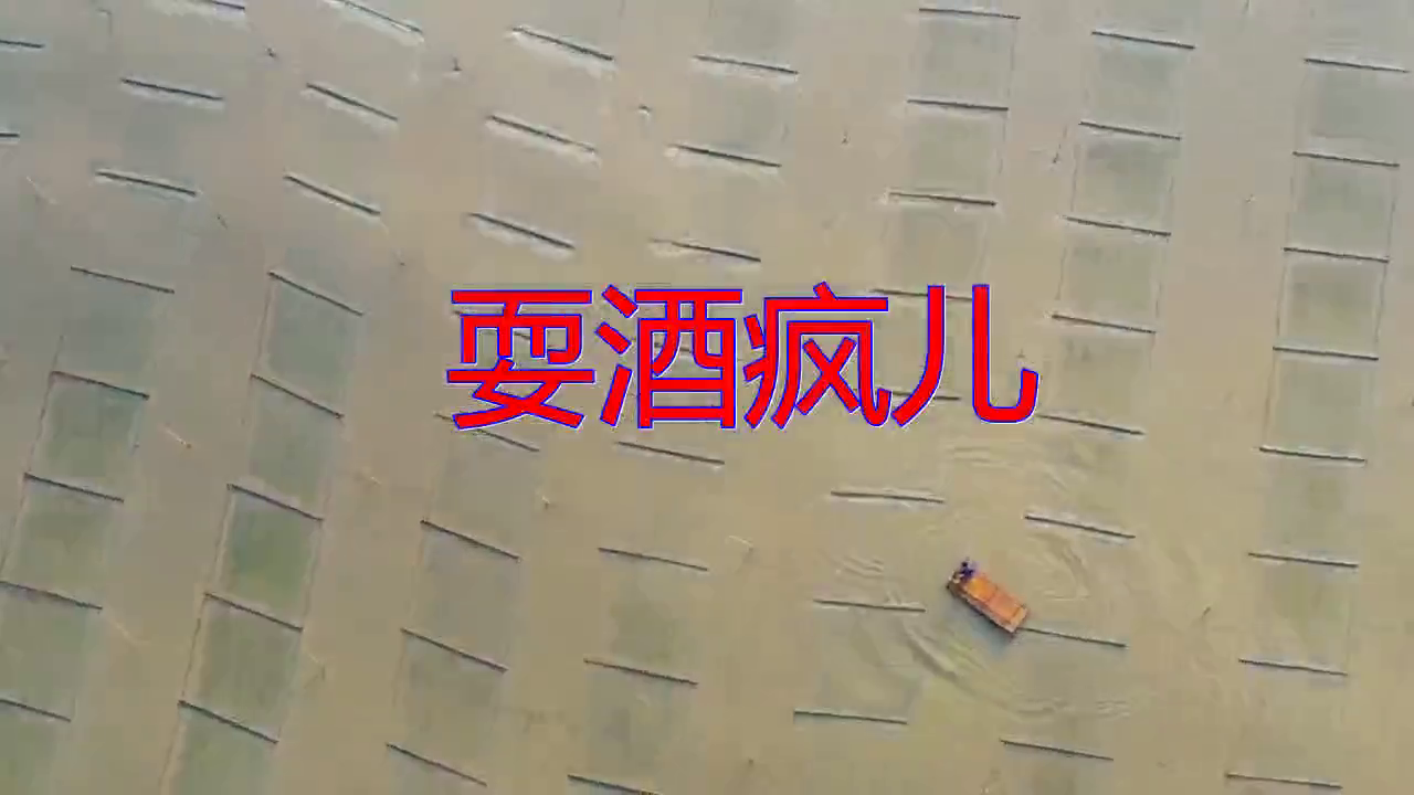 《耍酒疯儿,莺声燕语,太舒服了