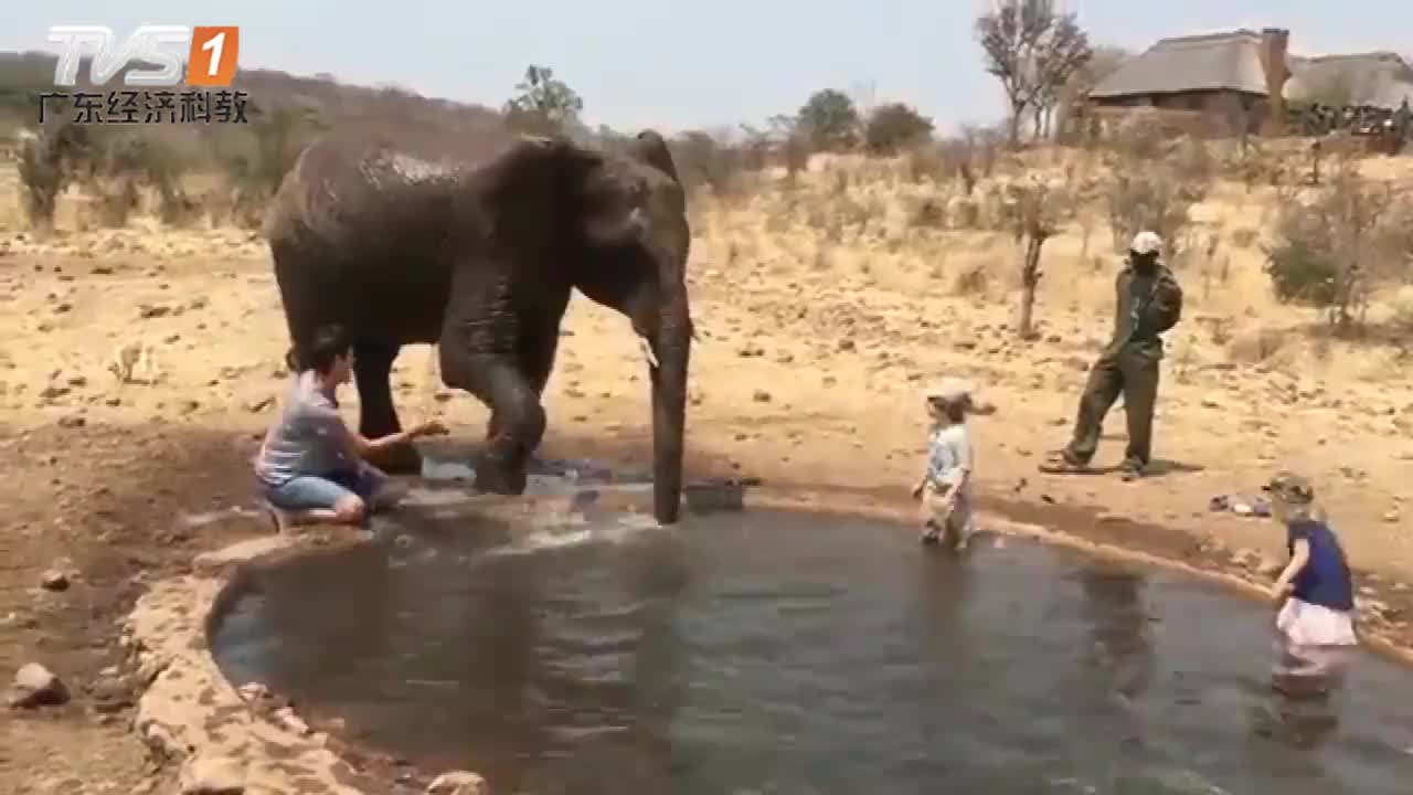 小象在澡盆里玩水,大象妈妈很生气,下一秒请憋住不要笑