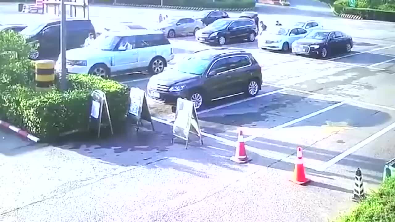 实拍这路虎司机真虎不开车门还能少赔点