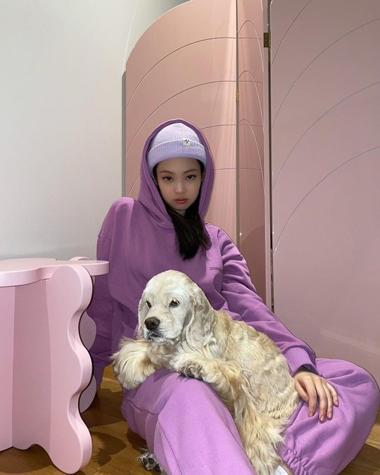 韩国女团blackpink成员jennie今天在sns发布了与宠物犬的合影,吸引了