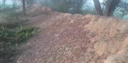 印度的蝗虫灾害会影响到中国吗?如果会,有什么解决办法吗?休闲区蓝鸢梦想 - Www.slyday.coM 印度的蝗虫灾害会影响到中国吗?如果会,有什么解决办法吗?休闲区蓝鸢梦想 - Www.slyday.coM