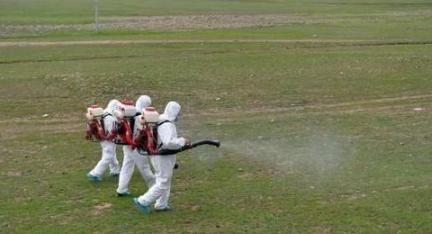 印度的蝗虫灾害会影响到中国吗?如果会,有什么解决办法吗?休闲区蓝鸢梦想 - Www.slyday.coM 印度的蝗虫灾害会影响到中国吗?如果会,有什么解决办法吗?休闲区蓝鸢梦想 - Www.slyday.coM