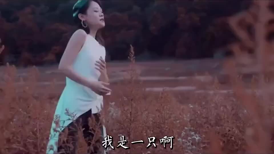 经典音乐分享,梦然经典音乐《野花》