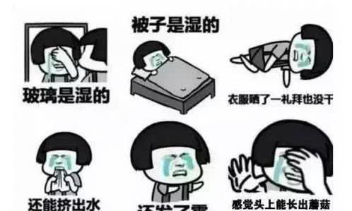 梅雨季节，来看看老司机的《护车宝典》！