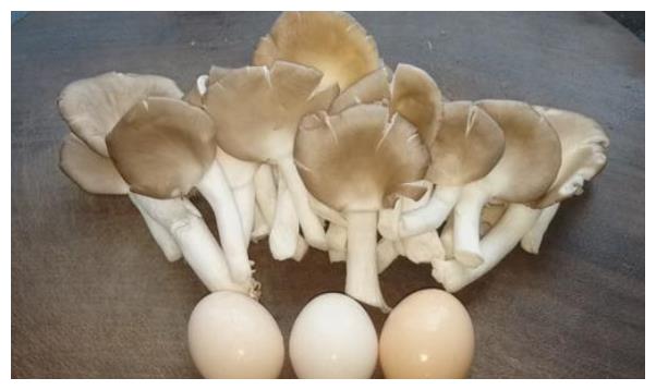 夏天半熟料种平菇技术,半熟料栽培平菇