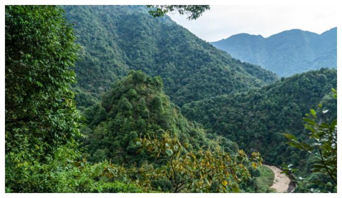 正文 太子山原始森林:位于广西桂林灌阳县城西南瑶族乡境内,景区