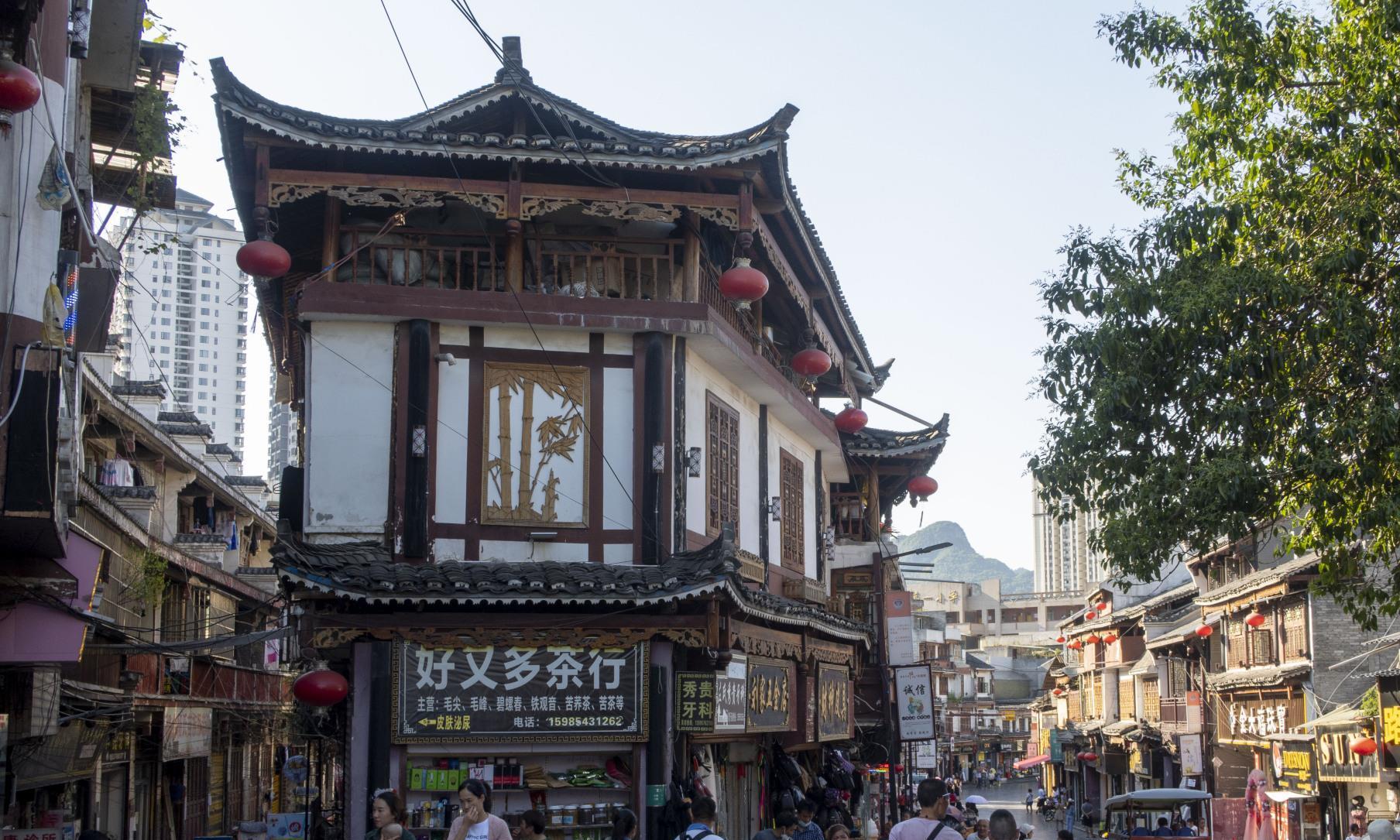 社会焦点：毕节约茶2025年毕节约茶的最新动态与市场分析解析