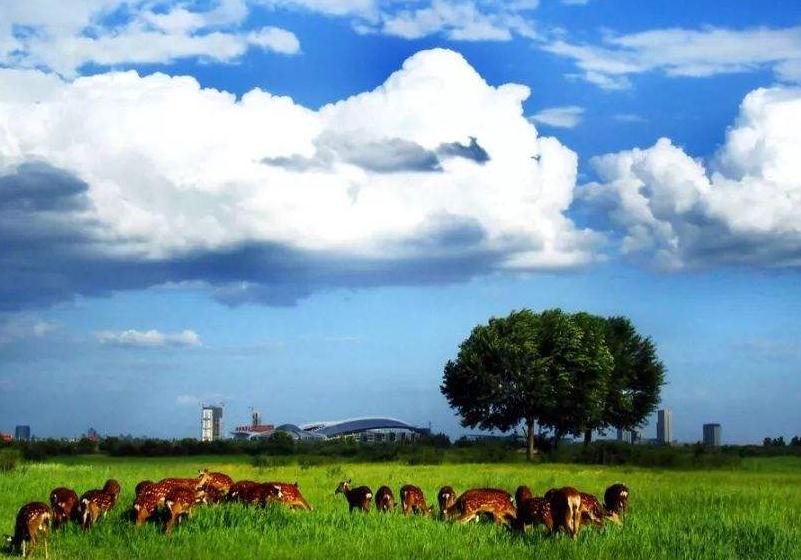 鄂尔多斯是不是内蒙古的 6e3a-iwtqvyk2716069.jpg