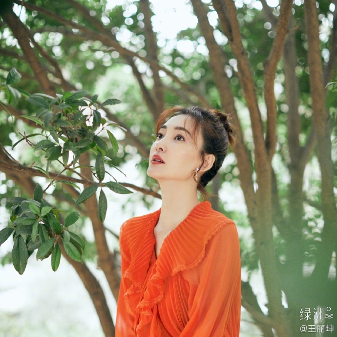 美女演员王丽坤迷人写真美照