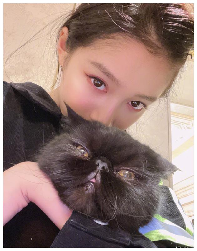 关晓彤绿洲晒自拍,2021第一张自拍!抱爱宠小猫表情亮了