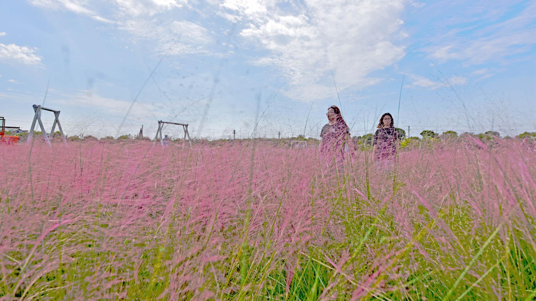 2020年鹅湖镇有多少人口_南宁有多少人口2020年