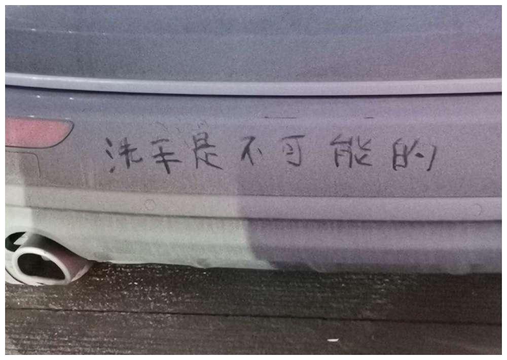 路上偶遇“阴阳车”,车尾写了两行字,车主想不火都难