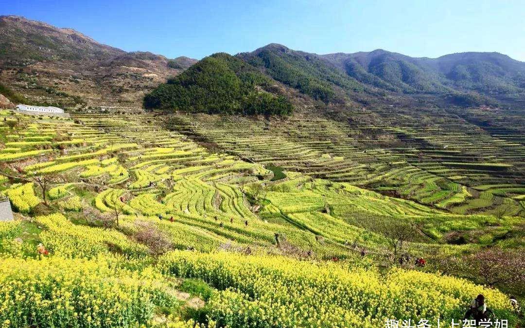 浙江绍兴覆卮山的千年梯田一片片,虽不要门票,却藏在深山少人识