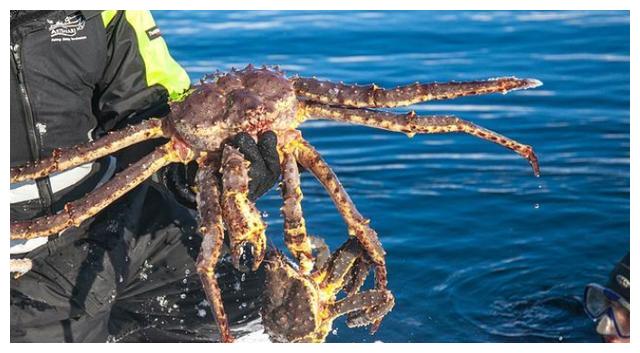 挪威人口数量2021_挪威的森林(3)