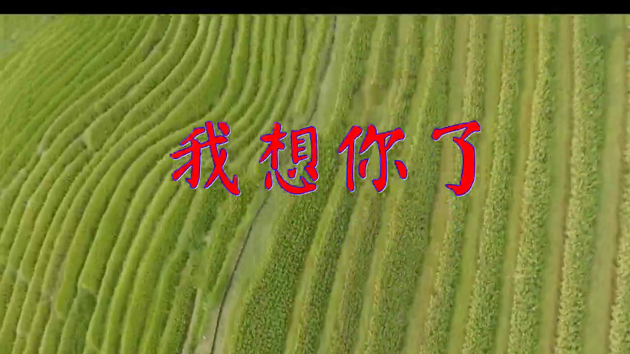 何鹏,阿茹娜《我想你了》,歌声太美,听听绝对不后悔