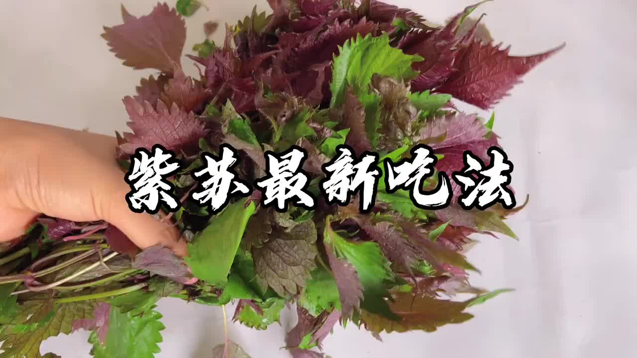 营养的紫苏别炒菜了,这个漂亮的新吃法别错过,夏天专属美味