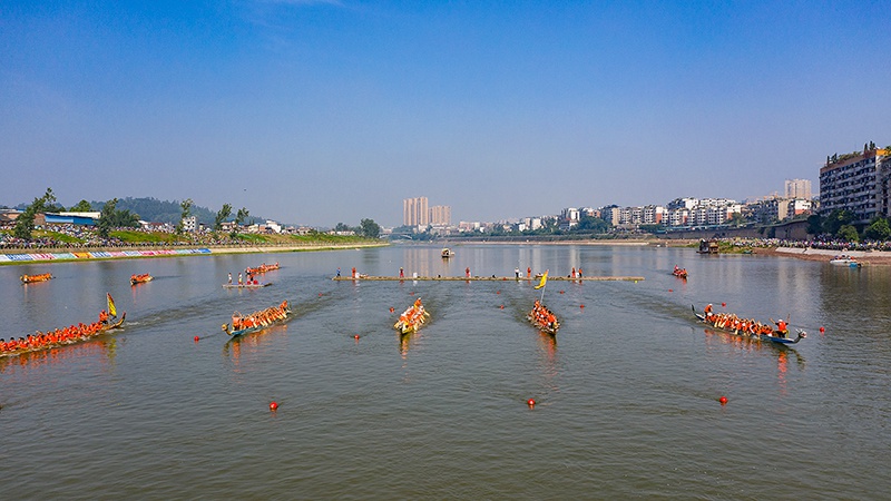 自贡富顺逮猫儿是什么，2025年自贡富顺逮猫儿哪里能玩
