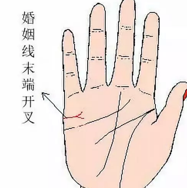 从婚姻线看你嫁人的好时机|婚姻线|嫁人|感情线_新浪