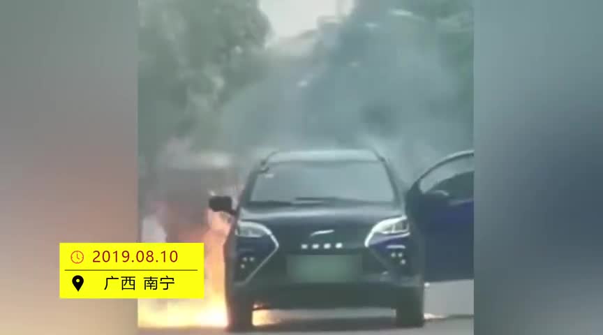 新能源车当街自燃火势猛烈车主淡定开车门取物