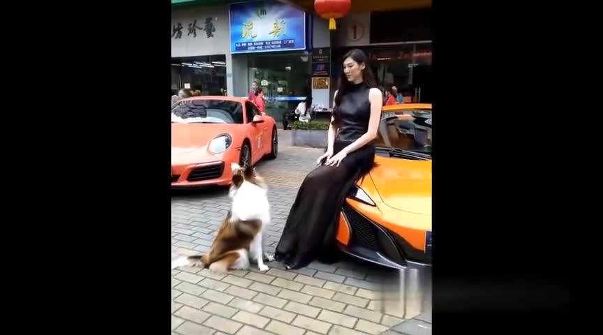 事实证明，男生喜欢看车展是有原因的！