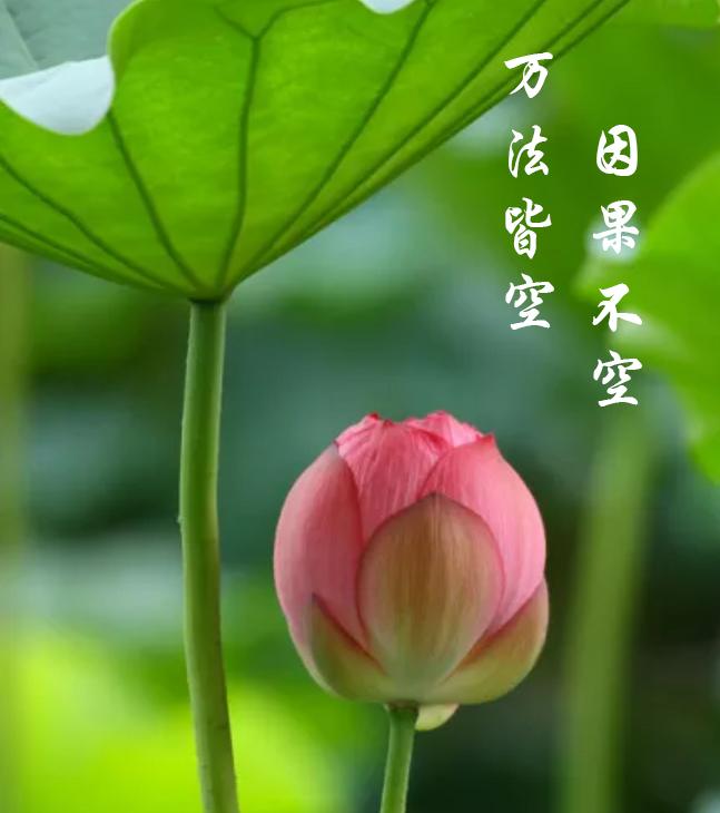 中国传统文化故事文昌帝君说因果轮回看淡不平事启迪真智慧
